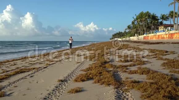这个女孩早上在海滩上慢跑和散步视频的预览图