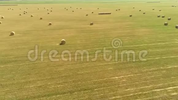 空中景色在收割小麦后将干草堆稻草卷在田野上视频的预览图