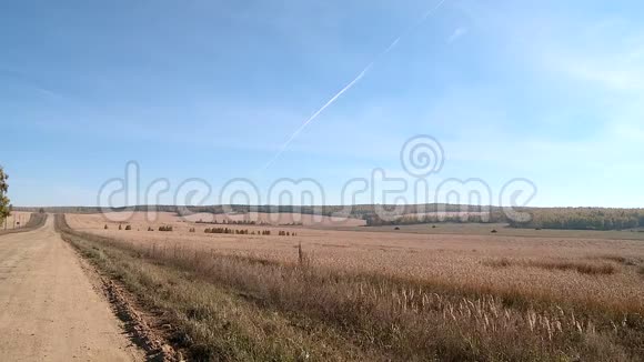 乌拉尔的秋田小麦视频的预览图