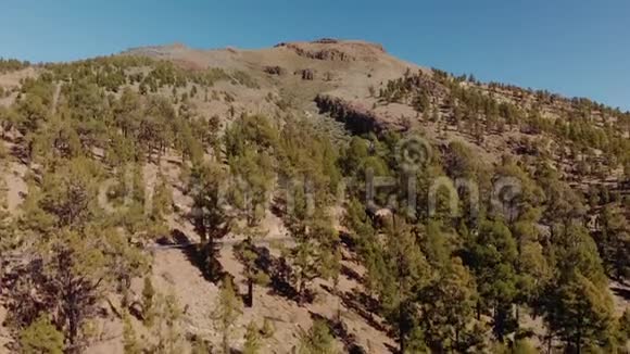 空中射击山路上的野青林起飞摄像机西班牙加那利群岛特内里费视频的预览图