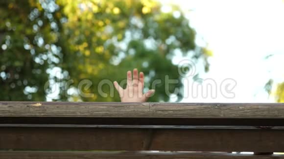 小快乐的孩子在夏日公园的长凳上玩耍小女孩在笑视频的预览图