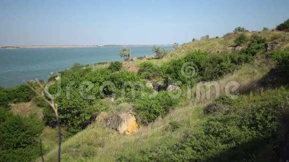 海岸哈兹比河口水库岸边野生草原植被视频的预览图