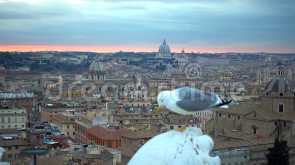 罗马天际线城市景观与梵蒂冈城地标日出意大利视频的预览图