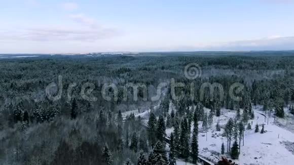 在寒冷的一天飞行期间鸟瞰冬季林地动作冬天被雪覆盖的森林景色视频的预览图