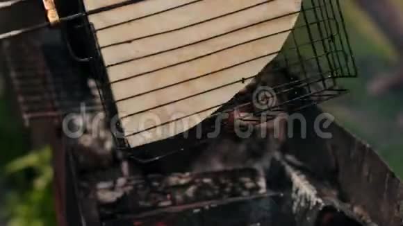 一个人在烤架上烤着一大块皮塔面包在火上烤着下午在街上视频的预览图