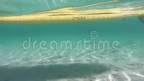 水上运动在水晶海的阴影下白色站立桨板从水下缓慢移动视频的预览图