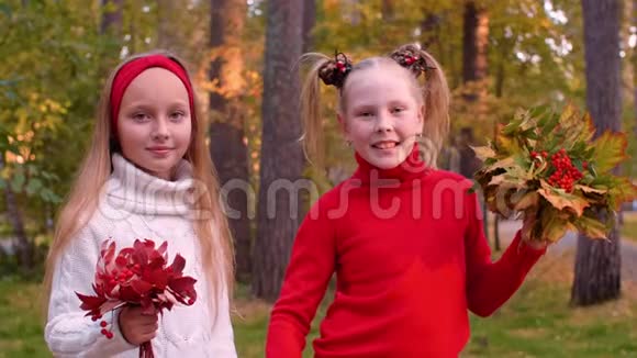 两个手拿秋叶的小女孩在公园里看镜头视频的预览图