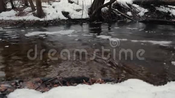 一片雪林中春汛水通过森林流动视频的预览图
