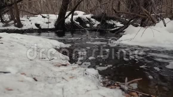一片雪林中春汛水通过森林流动视频的预览图