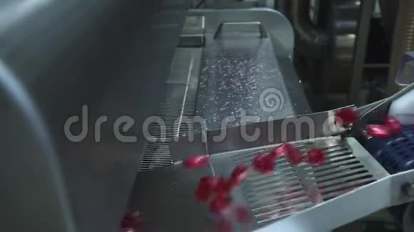 焦糖糖果棒棒糖的生产生产线做定制的糖果慢动作视频的预览图