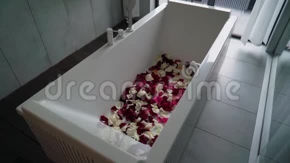 带玫瑰花瓣的浴盆浪漫的约会或蜜月视频的预览图