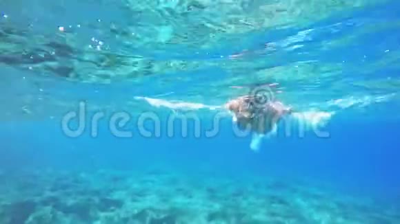 女人在水下潜水潜水面具和浮潜在清澈的蓝色海水中视频的预览图