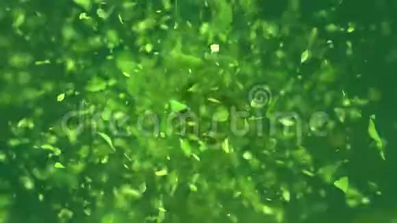 爆炸绿茶叶在4K视频的预览图