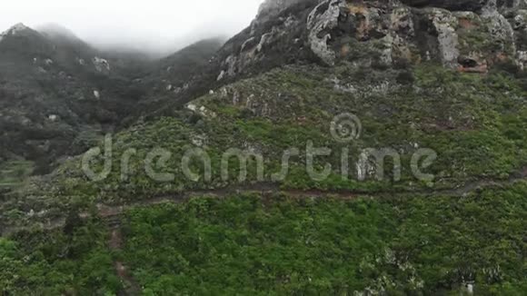 空中射击高山景观山顶有着非凡的植被和树木背景是低矮视频的预览图