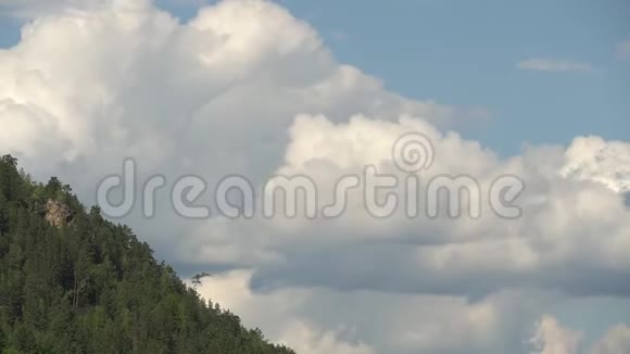 风景优美的夏季坐骑景观具有快速移动的转变大体积的云以上的树木全高清时间延时视频的预览图