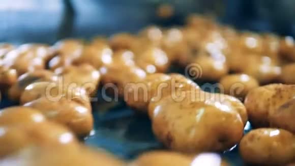食品厂设备清洗土豆清洗土豆视频的预览图