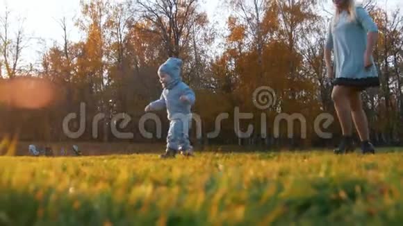 年轻的妈妈带着她的小宝贝在秋天公园的追赶中玩耍幸福家庭视频的预览图