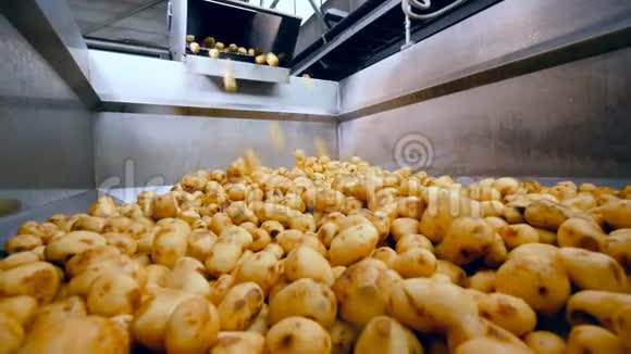 食品设施中装满干净土豆的容器视频的预览图