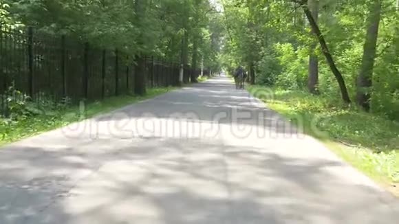 骑自行车沿着柏油路穿过篱笆和森林视频的预览图