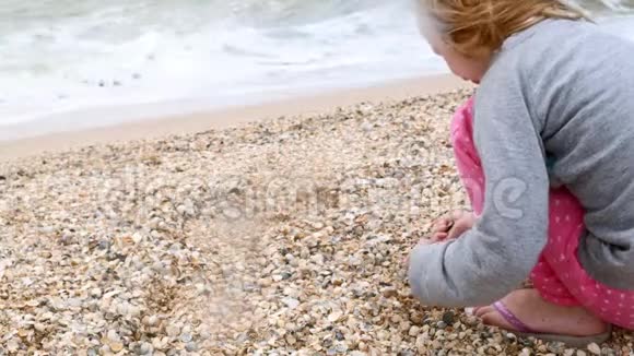 海边的小女孩收集贝壳夏季视频的预览图