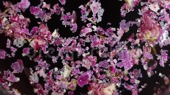 紫色花瓣干燥的宏观视野在暗水表面波动视频的预览图