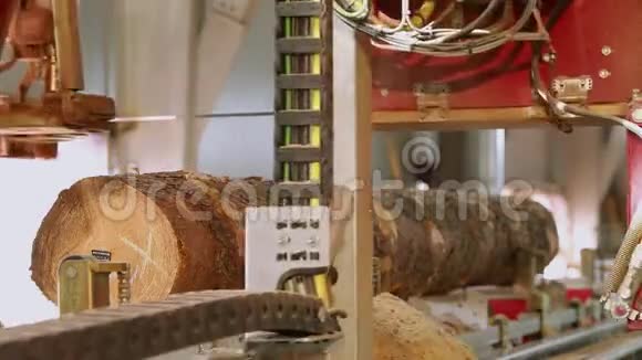 全过程纵向锯木制横梁上的树干生产家具横梁视频的预览图
