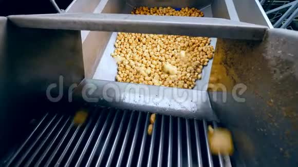 很多土豆在一家食品厂进入大容器视频的预览图
