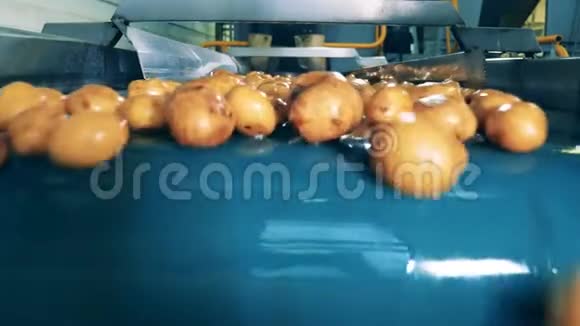 工作输送机在一个设施中运输大量清洗过的土豆视频的预览图