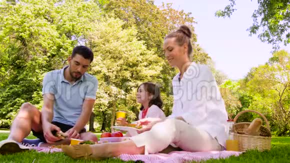 一家人在夏季公园野餐吃三明治视频的预览图