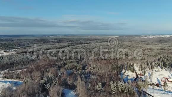 鸟瞰美丽的冬林道路和树木覆盖着雪在晴天动作美丽的冬景视频的预览图