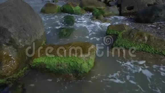 石滩背景特写视频的预览图