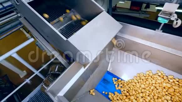 未剥皮的土豆掉进食品设施的金属容器里视频的预览图