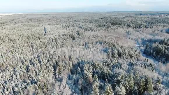 在冬日的蓝色多云天空下鸟瞰令人惊叹的森林风光和覆盖着雪的冰冻树木视频的预览图