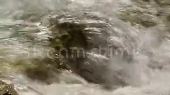 浅水河福特的河床上的湖水哗啦啦视频的预览图