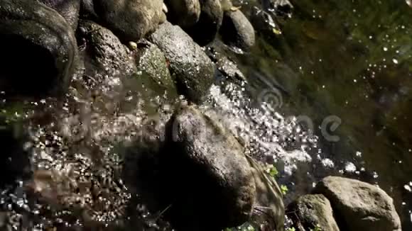 小溪流在清新的夏日里流过石头视频的预览图