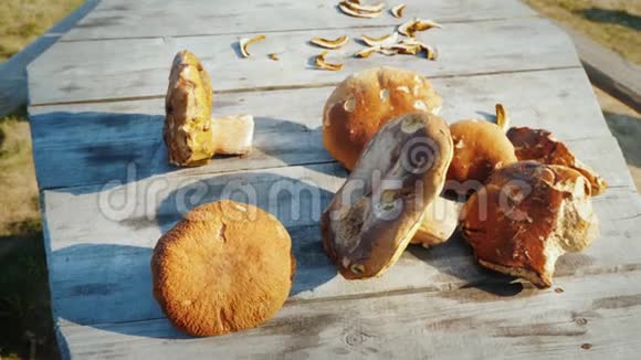 蘑菇躺在户外的木桌上视频的预览图
