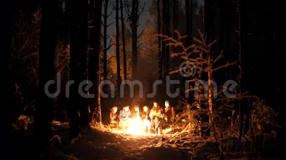 一群年轻人在冬天的森林里坐在火边视频的预览图