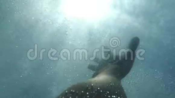 人类手在水下伸展到海面手臂在气泡中寻求帮助并试图生存观点视频的预览图