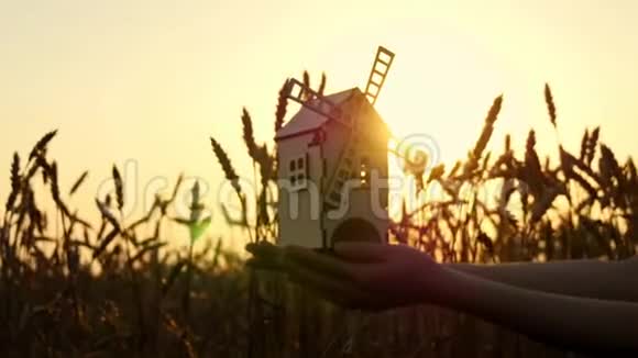 一个年轻女孩手中的玩具风车背景是金色的麦穗和日落视频的预览图