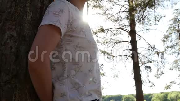 一个年轻的游客站在森林里的一棵树上在树林里休息和散步在新鲜的空气中视频的预览图