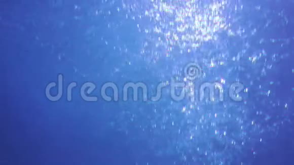 有阳光的水下场景视频的预览图