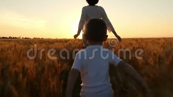 一个快乐的孩子和他的母亲在夕阳的背景下穿过金色的麦田视频的预览图