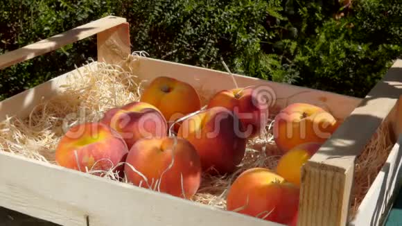 把成熟多汁的桃子放在木箱里视频的预览图