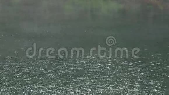朦胧的湖面泛起涟漪视频的预览图