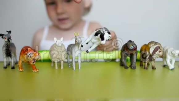 父母教一个小孩子区分动物一个孩子玩玩具和父母特写白种人视频的预览图