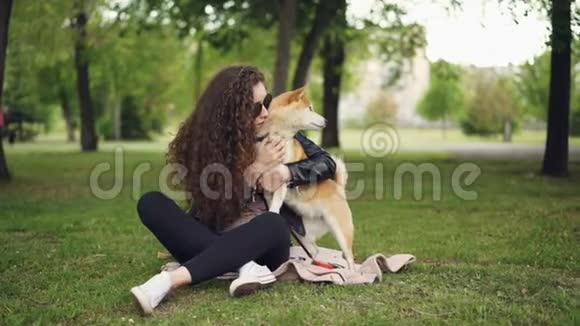 快乐的女孩骄傲的狗主人在公园的草地上抚摸和亲吻她的宠物而动物正在享受视频的预览图