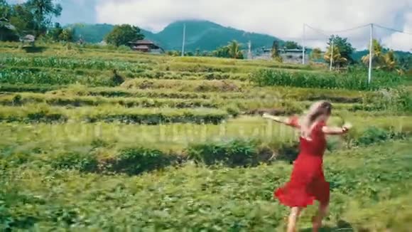 在巴厘岛穿着红色衣服的妇女沿着绿色的田野漫步视频的预览图