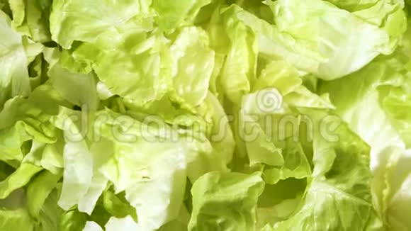 青生菜叶背景合上冰山生菜沙拉素食有机食品健身和健康营养视频的预览图