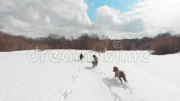 冬季森林四匹小马在雪地上奔跑空中景观视频的预览图