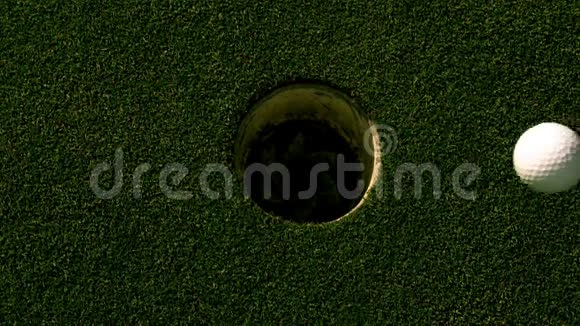 高尔夫球滚进洞放绿色球视频的预览图
